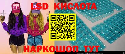 прущие грибы Краснознаменск
