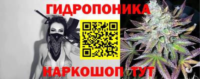 прущие грибы Краснознаменск