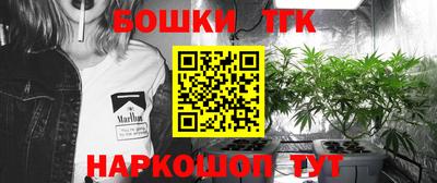 сатива Краснодар
