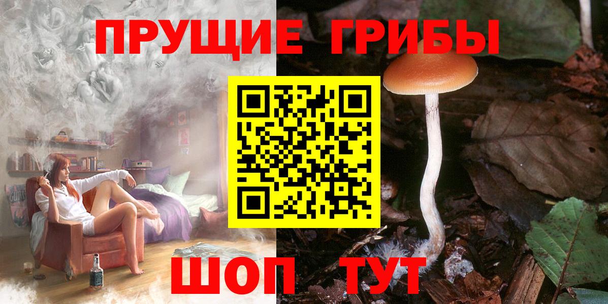 Галлюциногенные грибы GOLDEN TEACHER  Вход с VPN  Псилоцибиновые грибы Psilocybe  Жигулёвск 